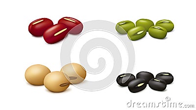 Adzuki, black gram, soy and mung beans isolated on white background Vector Illustration